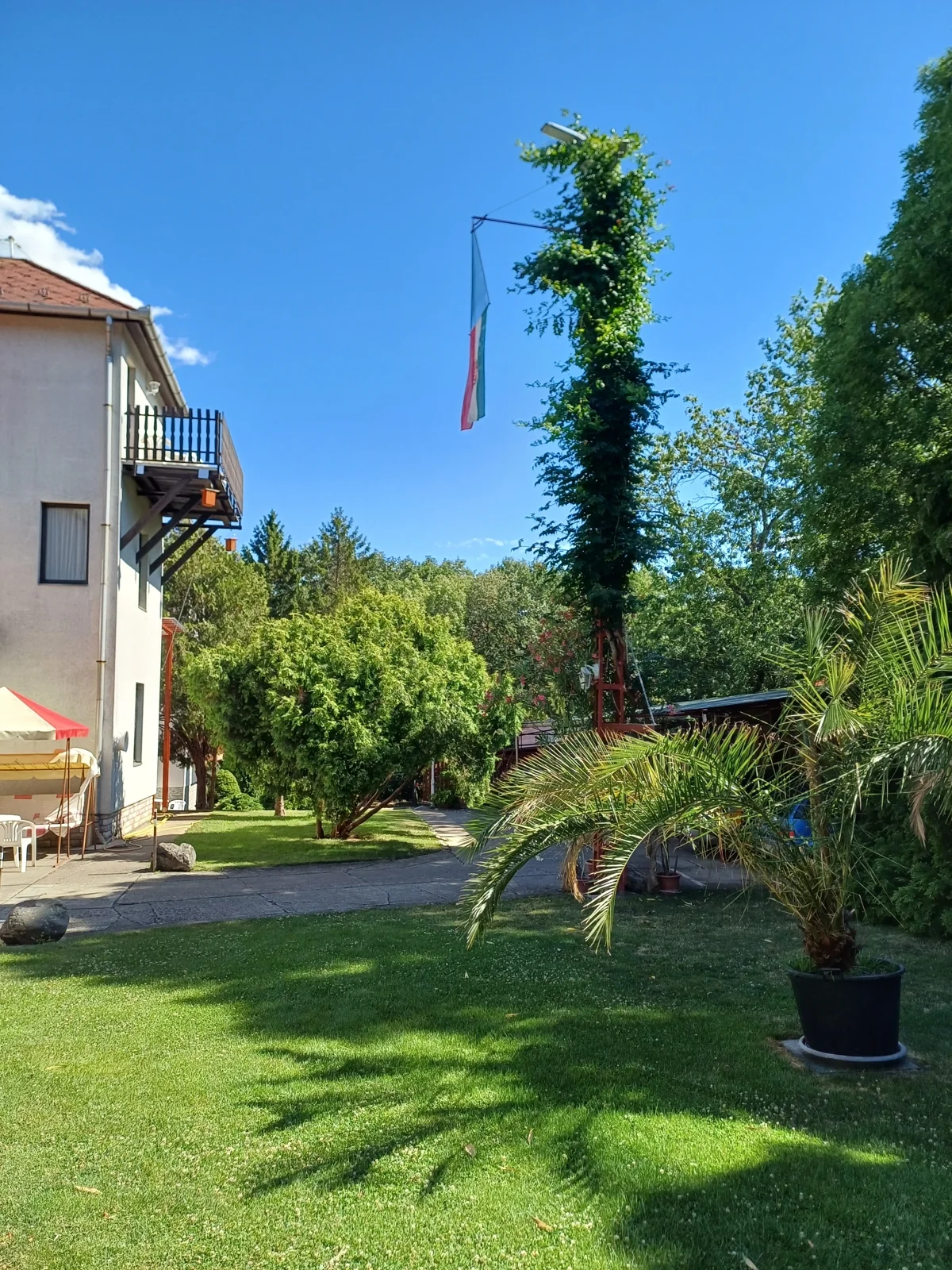 A Feketerigó gondozott pázsitja